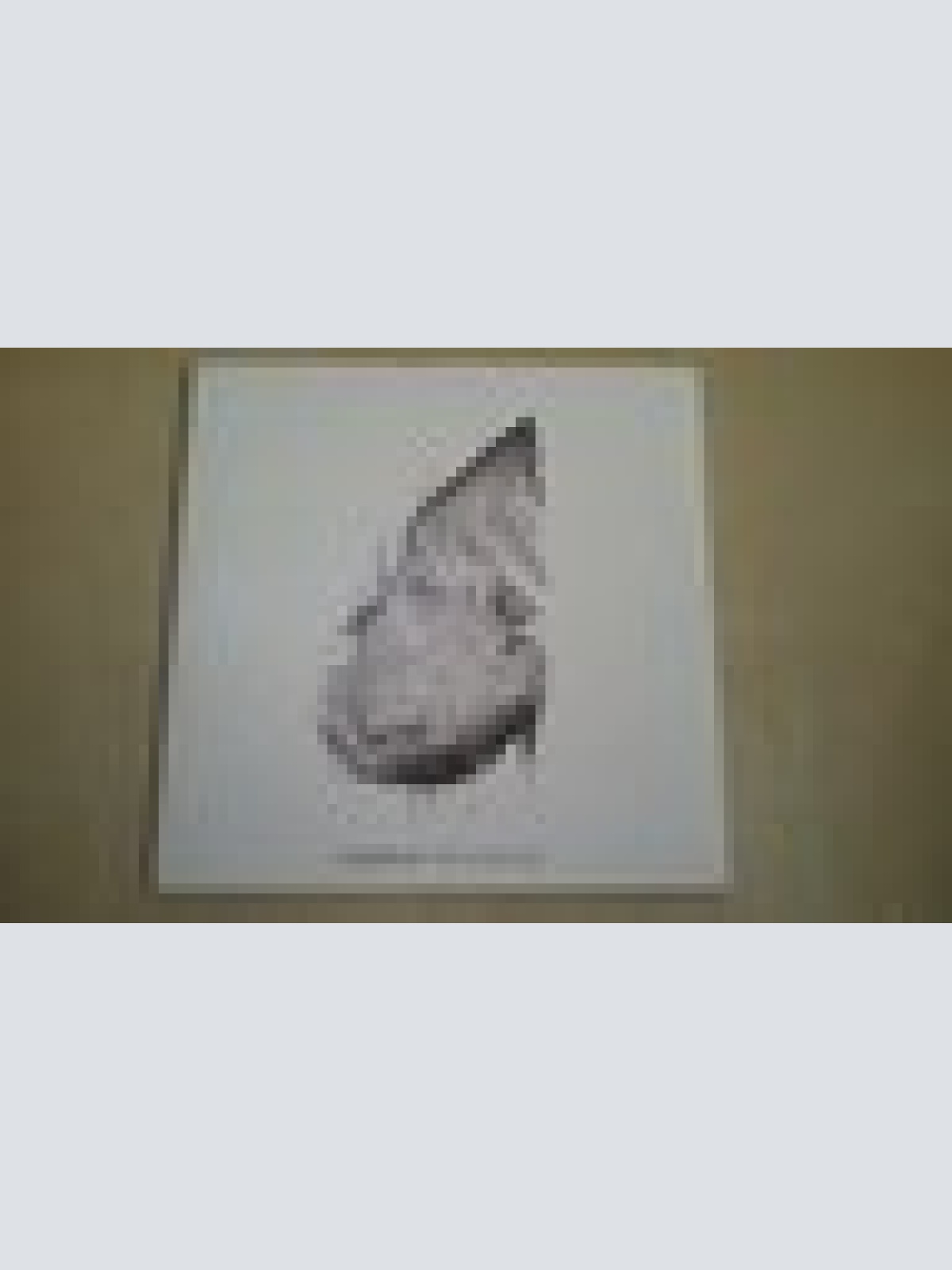 MAXI CD--COLDPALY--THE SCIENTIEST---PROMO-CARDSLEEVE-1 TRACKS