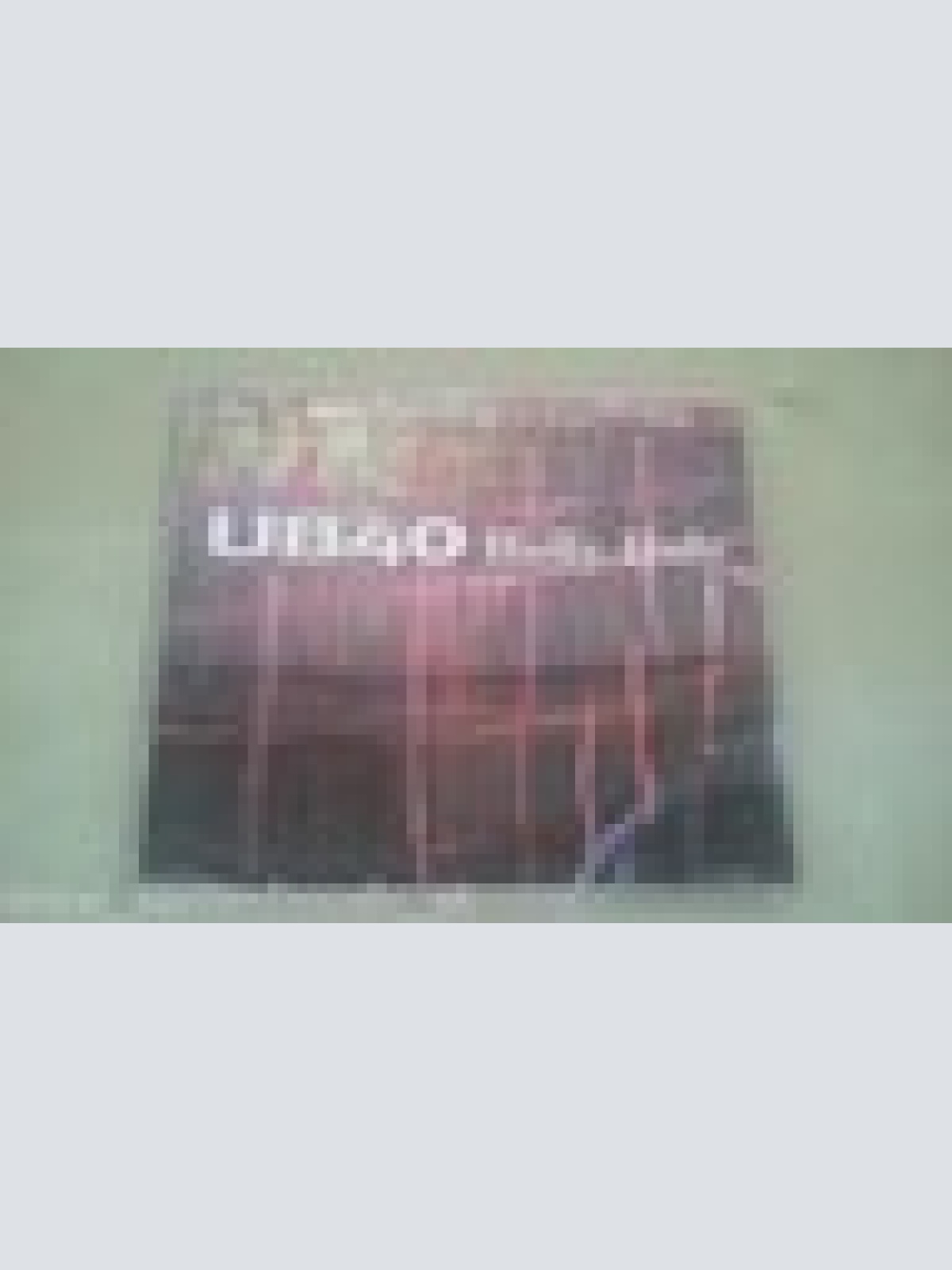 MAXI CD--UB 40--HOLLY HOLY--3 TRACKS
