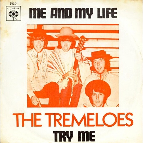 7", Single, Lar The Tremeloes - Me And My Life / Try Me