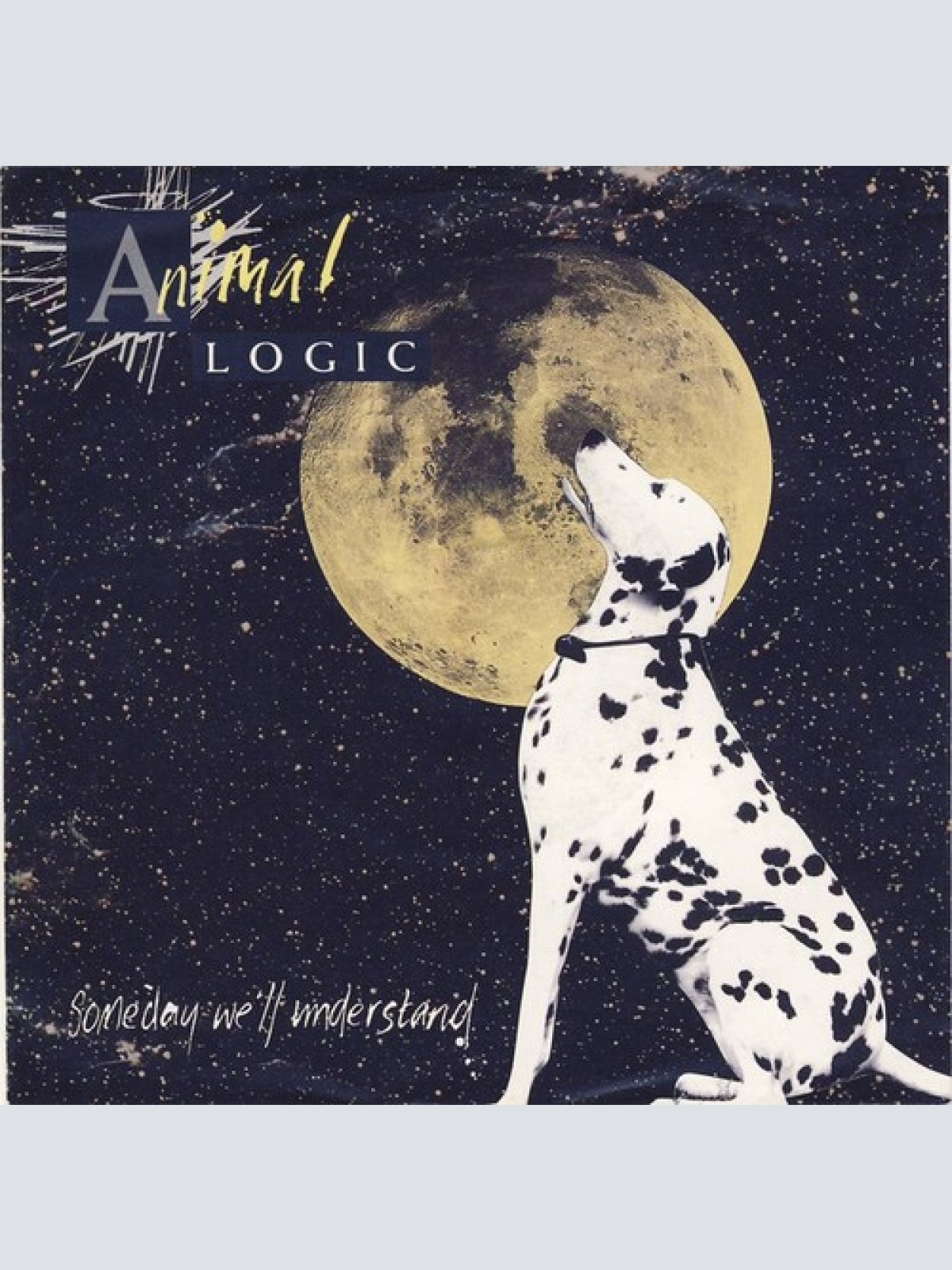 7", Single Animal Logic - Someday We'll Understand