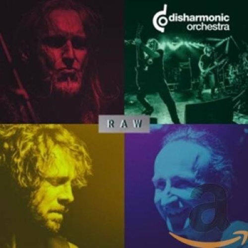 LP--Disharmonic Orchestra ?– Raw / Yellow