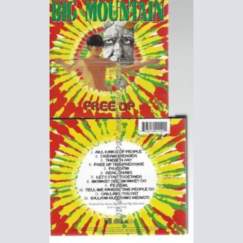 CD--BIG MOUNTAIN--    FREE UP