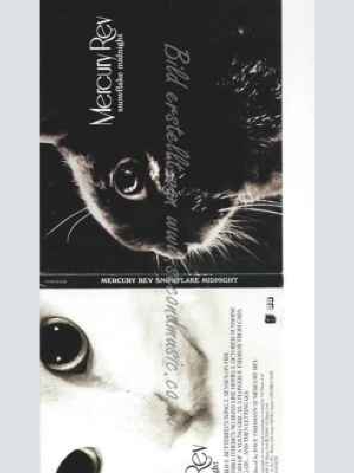 CD--IDNIGHT (LTD.EDT.)/ MERCURY REV | --SNOWFLAKE