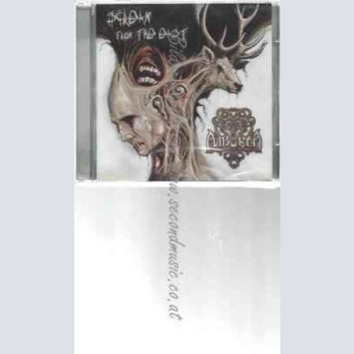 CD--SUB ZERO--MEGSZÓLALOK