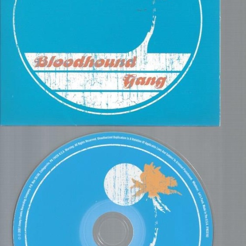 CD--BLOODHOUND GANG SEREWING YOU ON THE BEACH AT NIGHT // PROMO