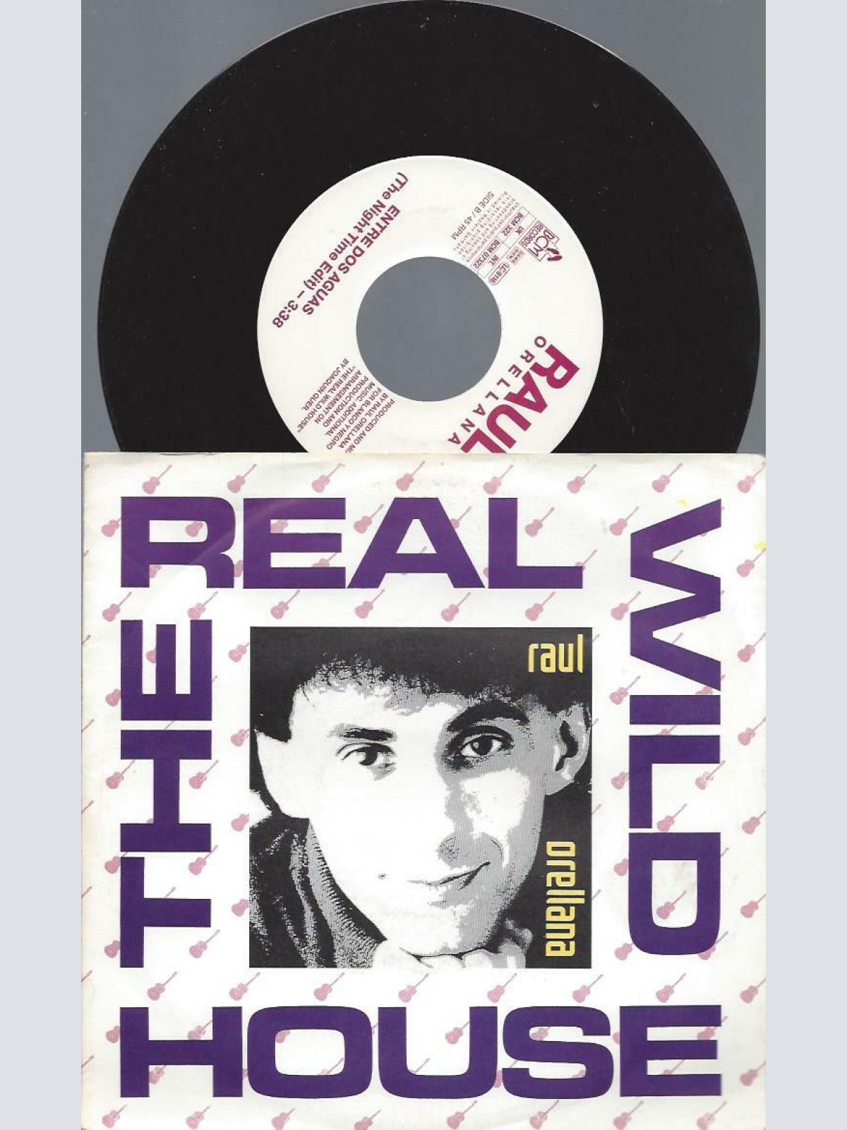 7"   Raul Orellana   The Real Wild House