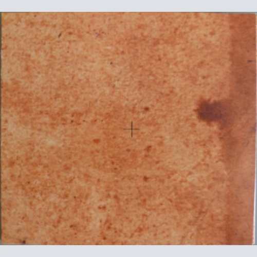 CD, EP Brouillard - Brouillard