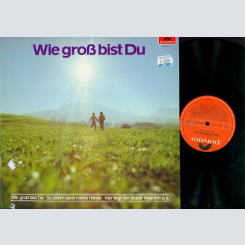 LP-- Various – Wie Groß Bist Du  // Diverse Chöre aus Österreich