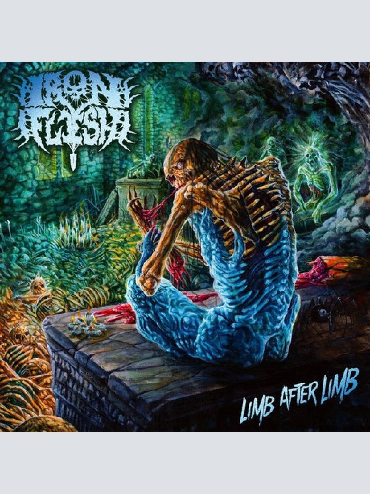 CD, Album Iron Flesh - Limb After Limb