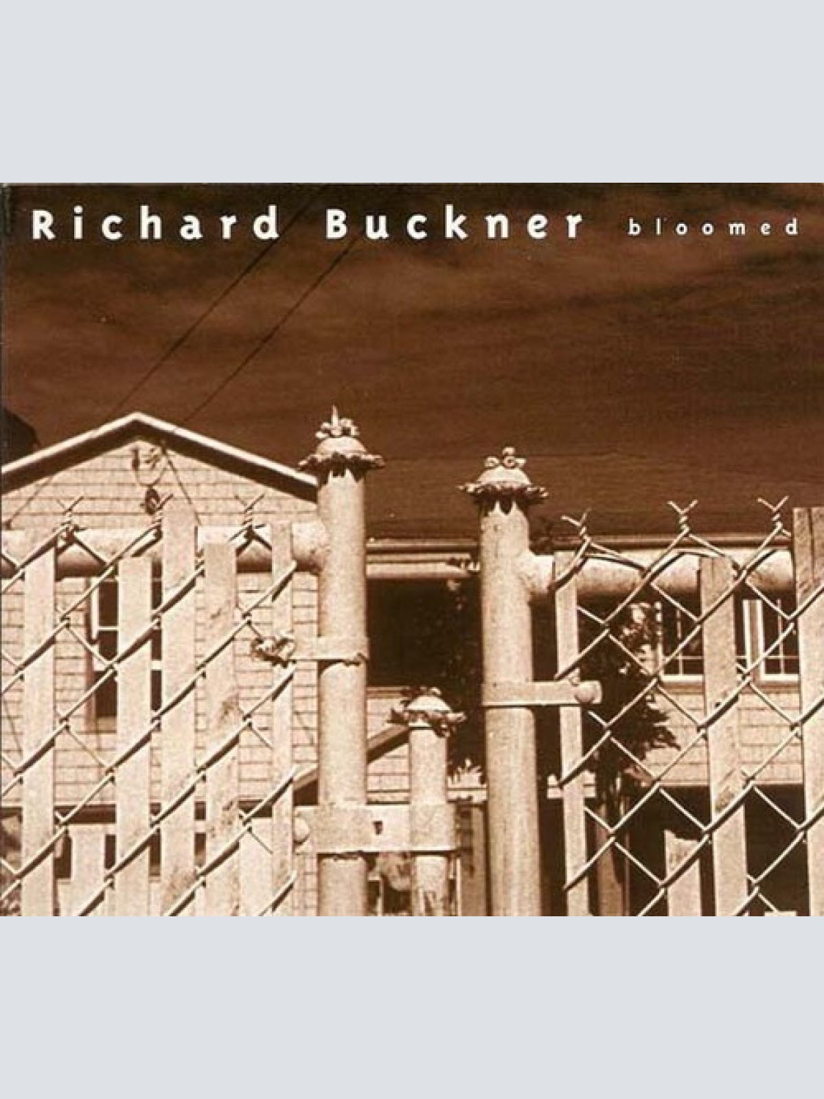 CD, Album, Dig Richard Buckner - Bloomed