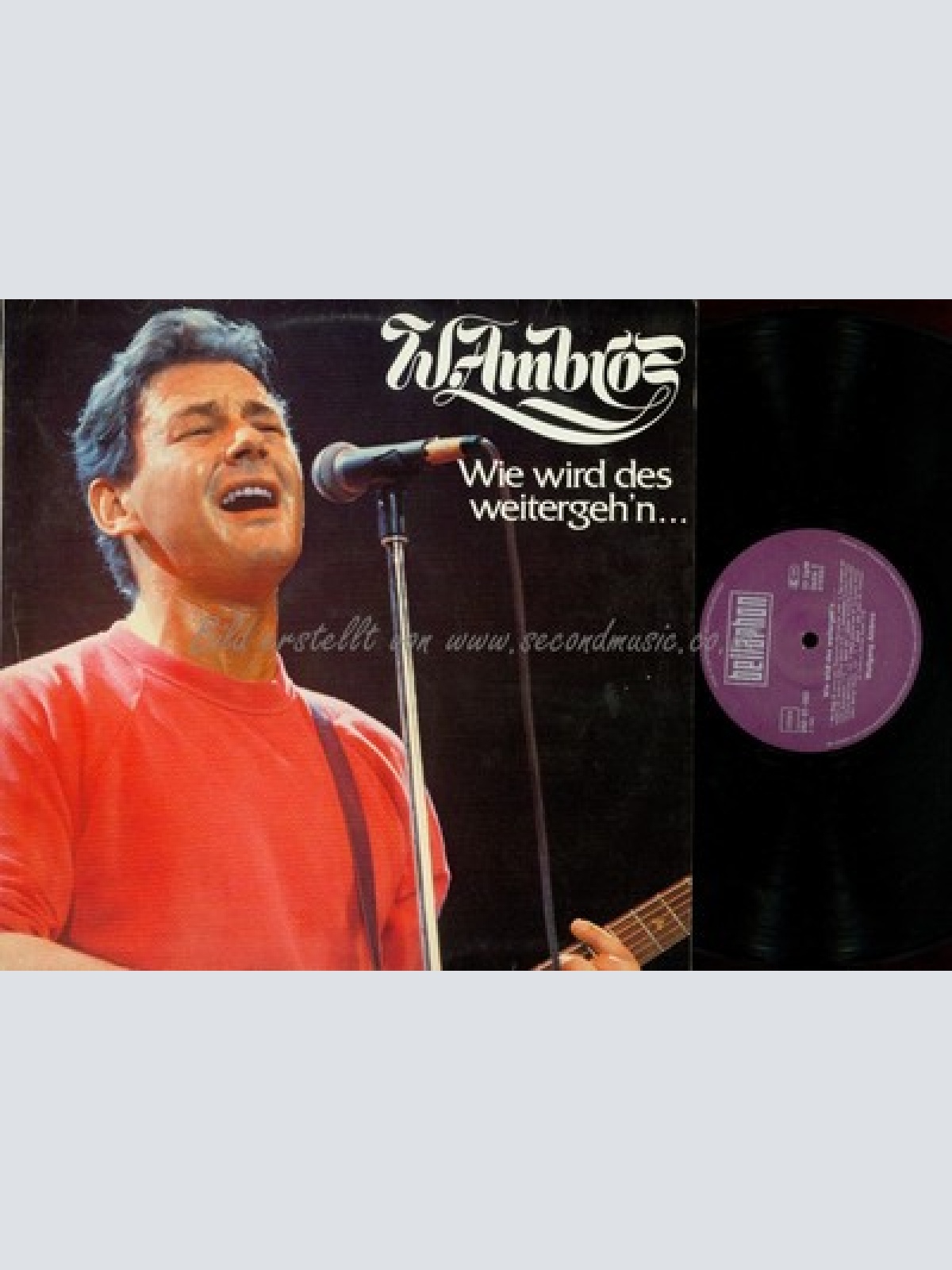 LP--WOLFGANG AMBROS--WIE WIRD DES WEITERGEH'N