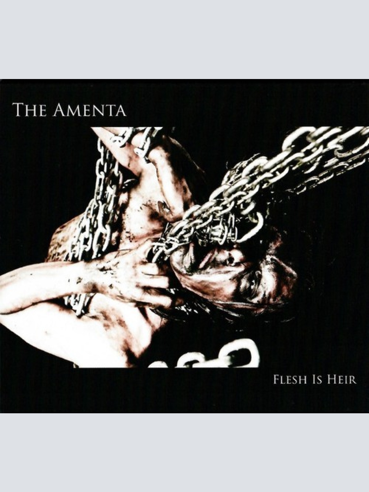 CD, Album The Amenta - Flesh Is Heir