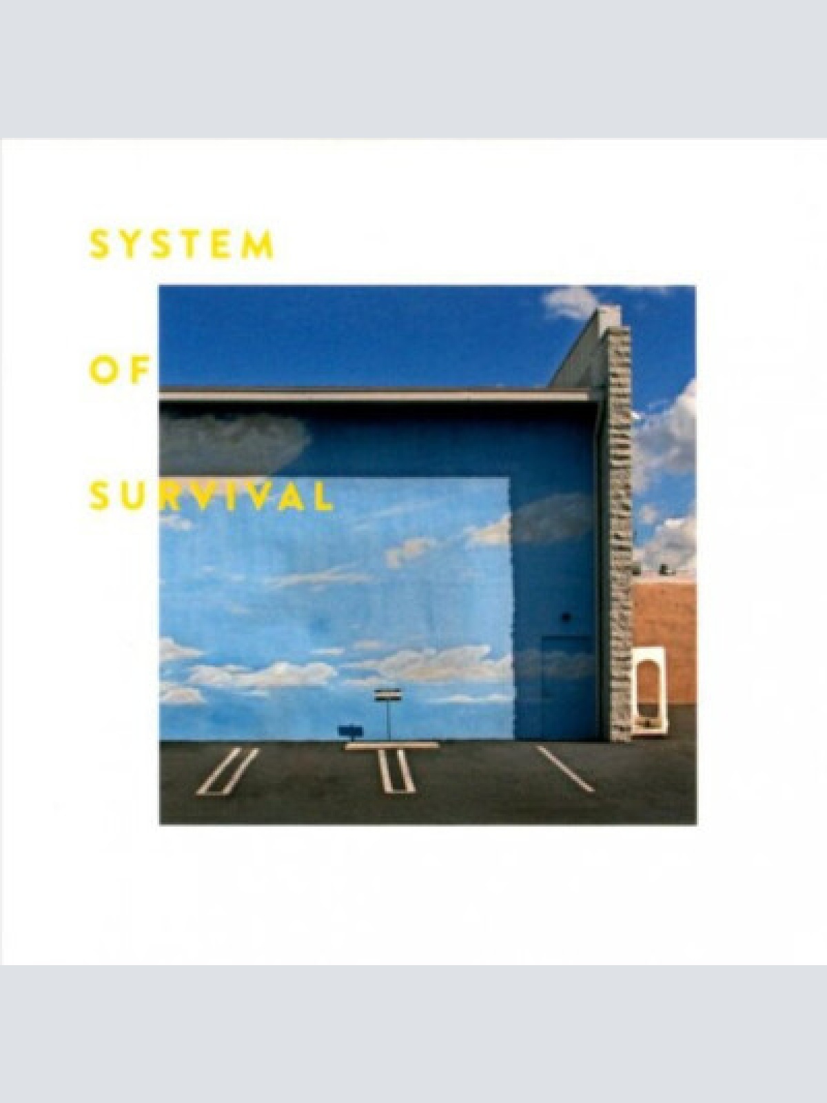 CD, Album System Of Survival - Needle And Thread