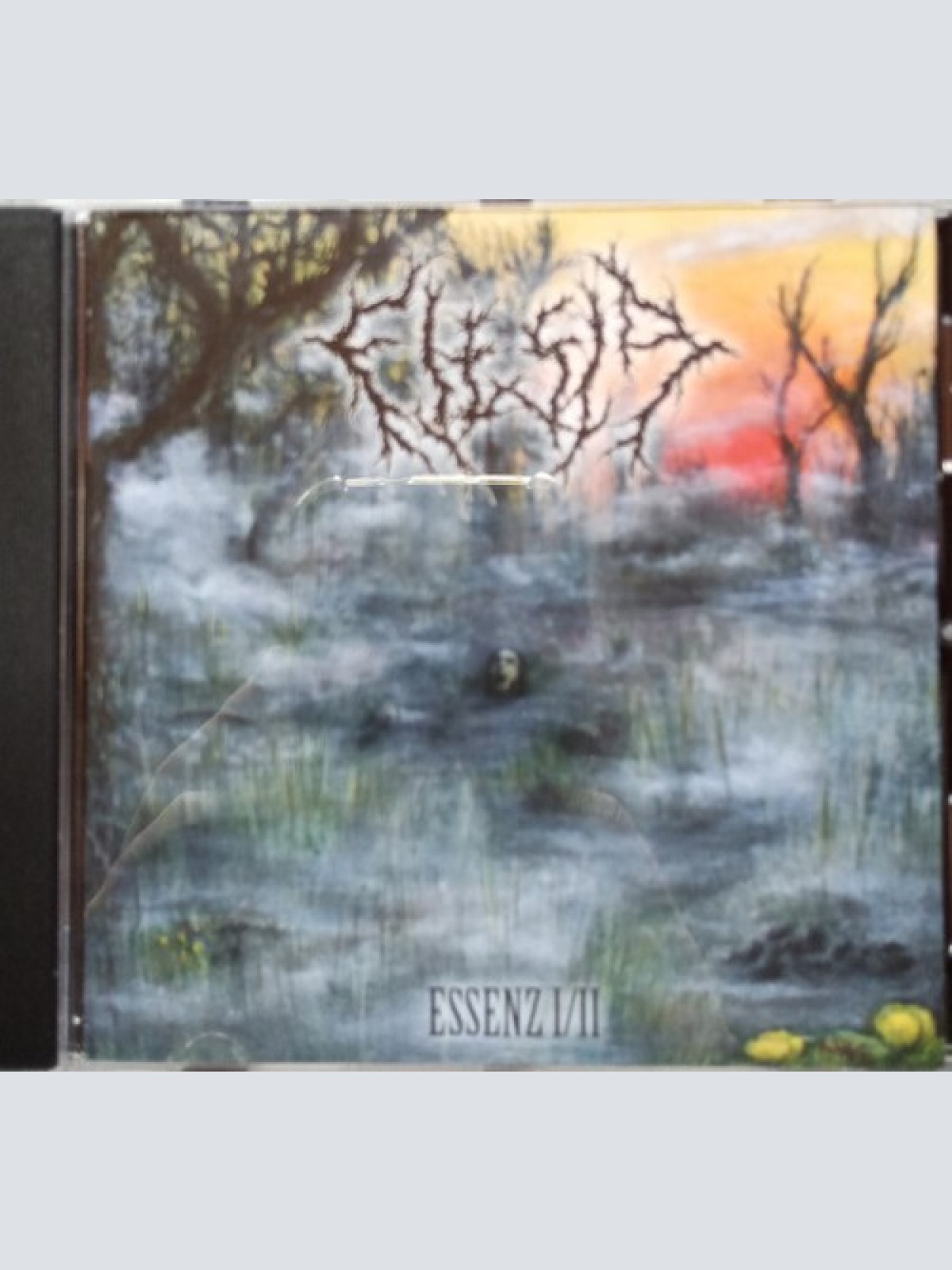 CD, EP Flesia - Essenz I/II