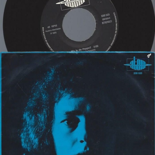 7" Wolfgang  Ambros –  Wo Is Da Peppe? / Kagran