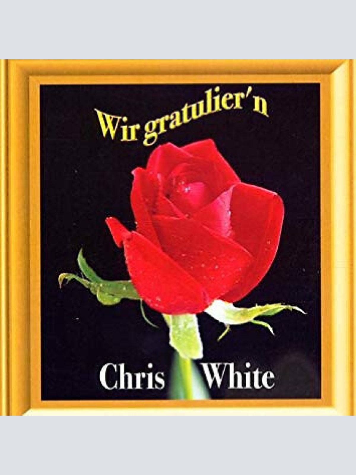 CDr, Maxi, Promo Chris White (10) - Wir Gratulier'n