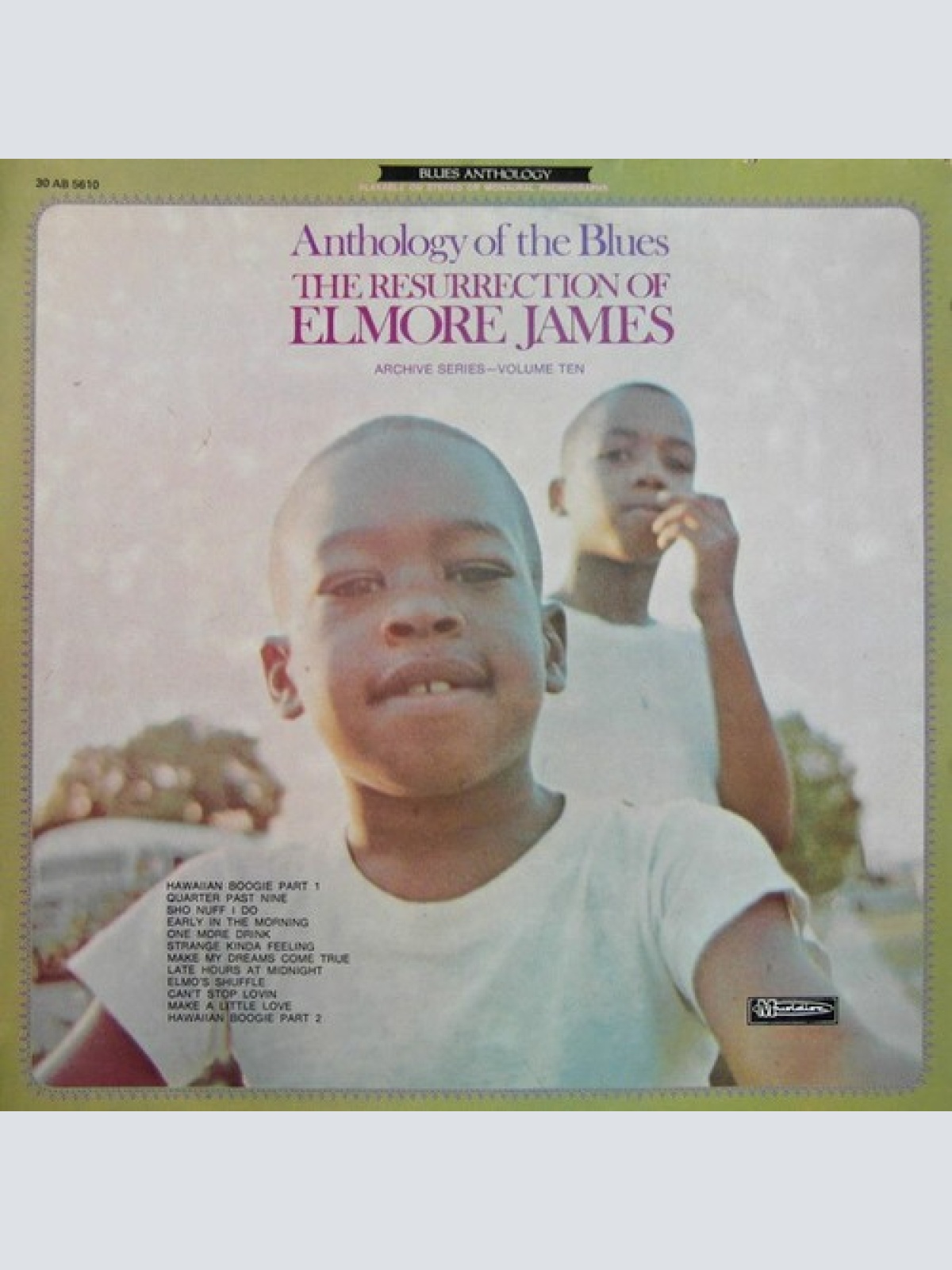 LP, Comp, RE Elmore James - The Resurrection Of Elmore James