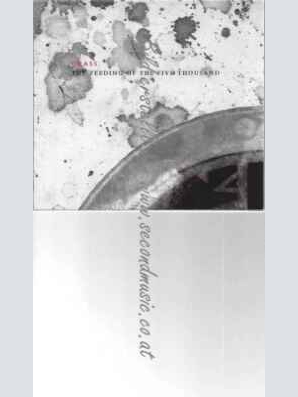 CD--Crass | --Feeding the 5000