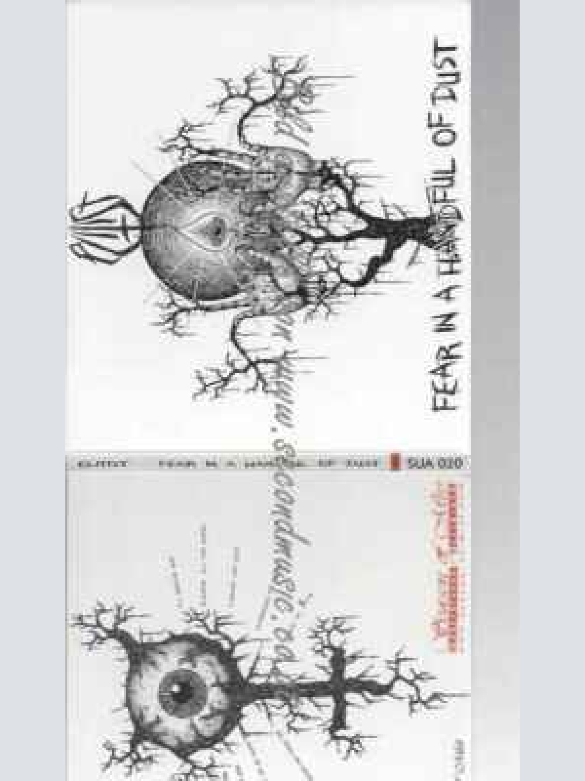 CD--Elitist | --Fear in a Handful of Dust