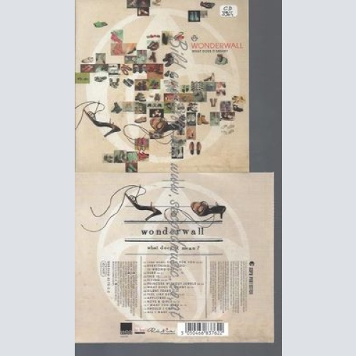 CD--WONDERWALL--WHAT DOES IT MEAN?