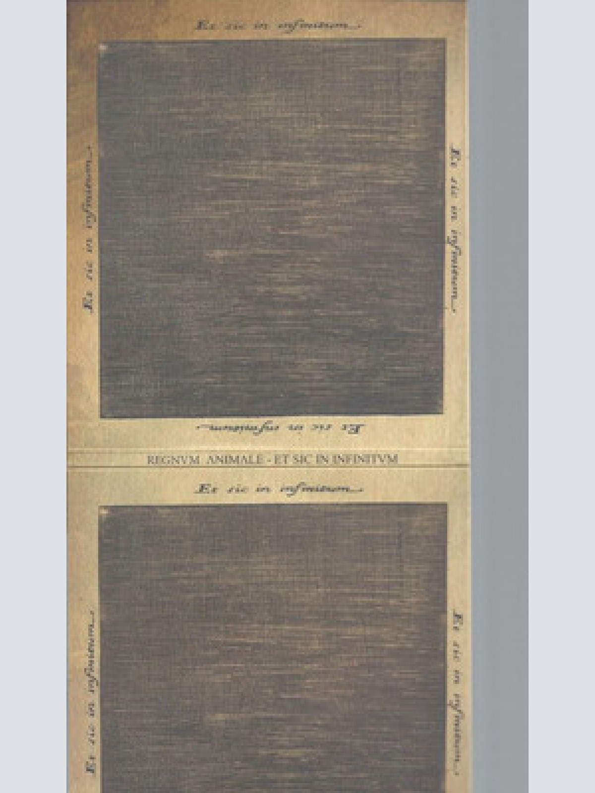 CD--REGNVM // ET SIC IN INFINITUM