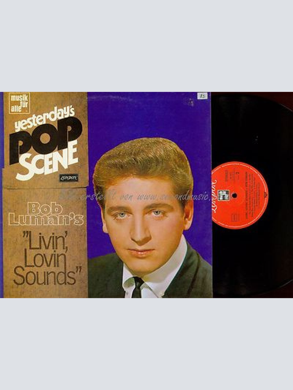 LP--BOB LUMAN'S --LIVIN LOVIN SOUNDS--NL695