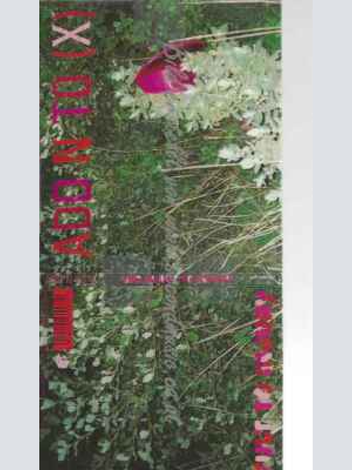 CD--Add N To X | --Add Insult to Injury