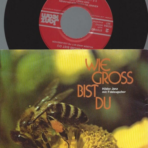 7"   Hildor Janz Mit Feldzugschor – Wie Gross Bist Du