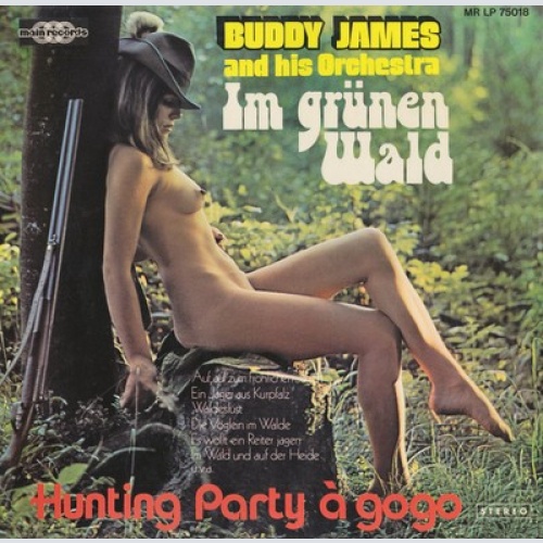 LP, Album Buddy James And His Orchestra - Im Grünen Wald