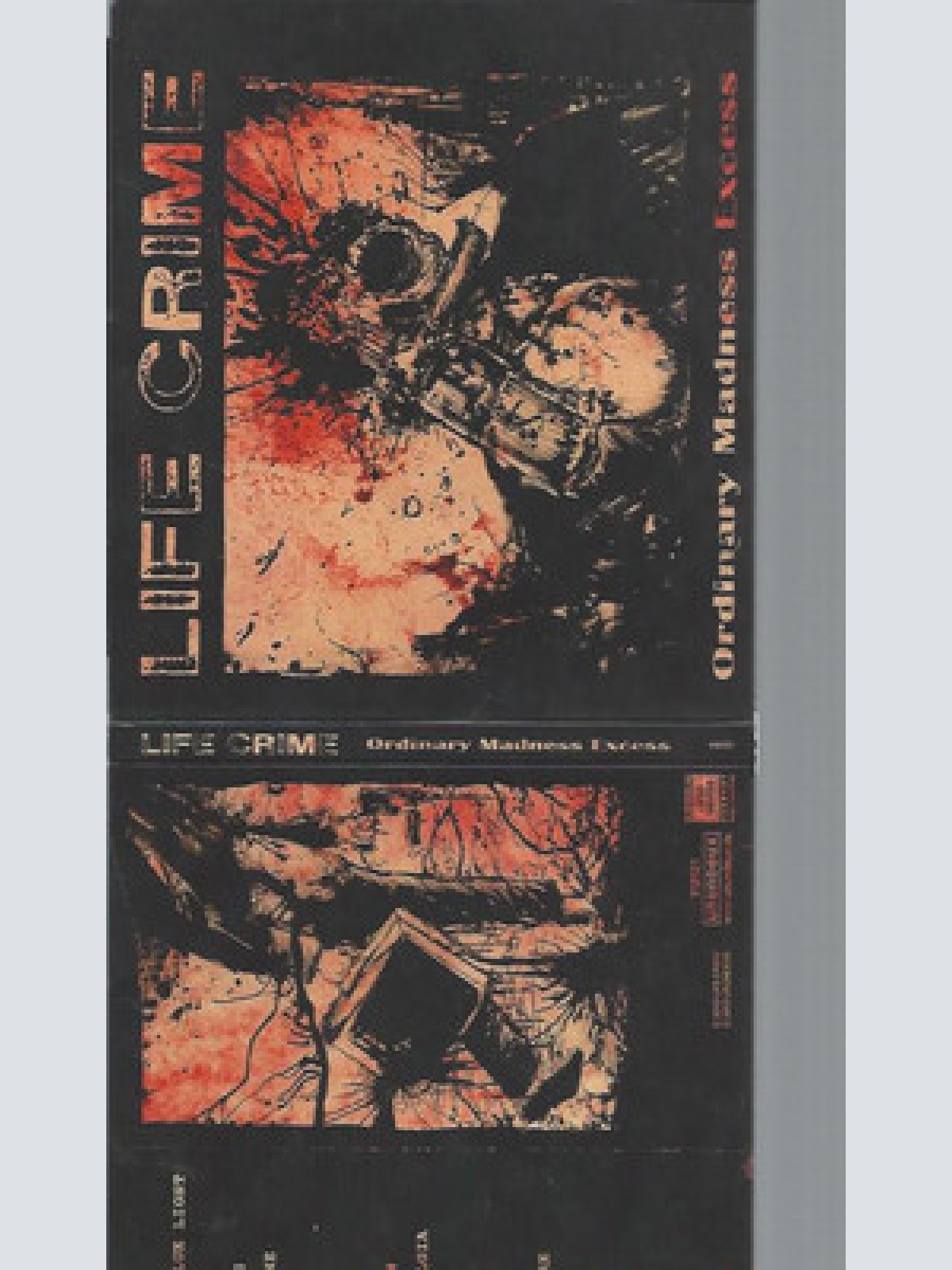 CD--  Life Crime  Ordinary Madness Excess