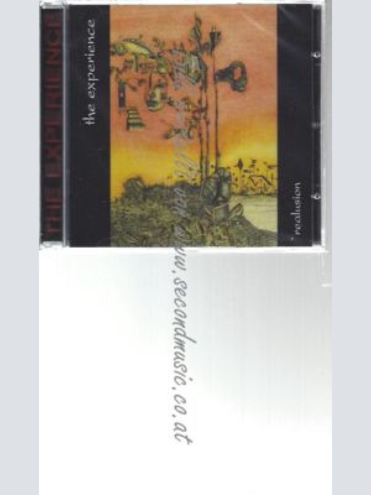 CD--THE EXPERIENCE--    REALUSION