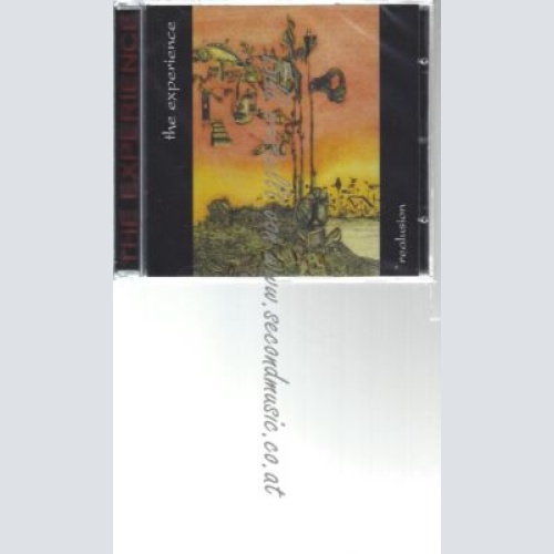 CD--THE EXPERIENCE--    REALUSION