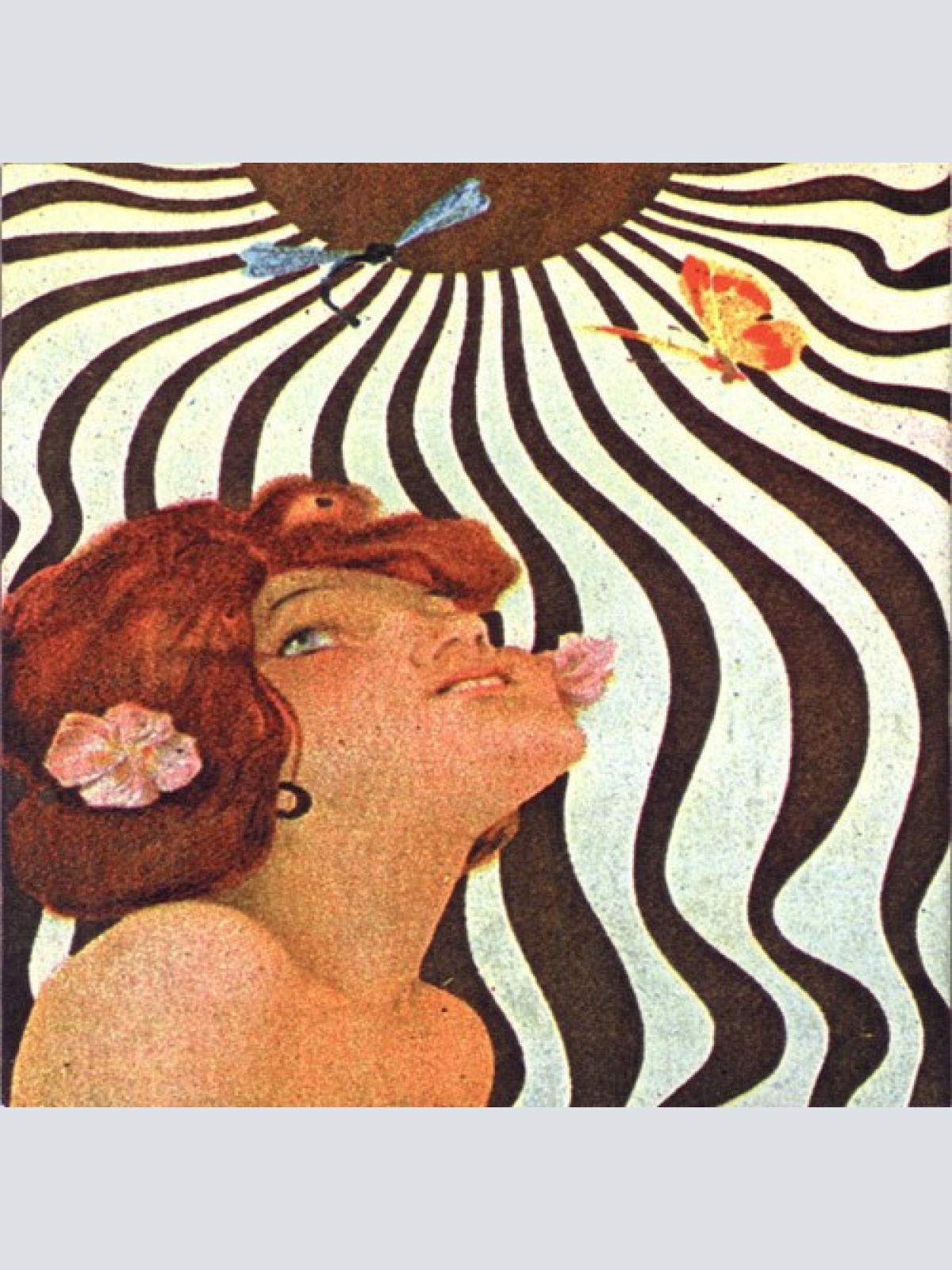 CD, Album Zen Guerrilla - Shadows On The Sun