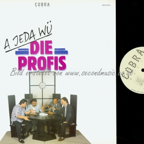 LP--DIE PROFIS A JEDA WÜ // MAXI