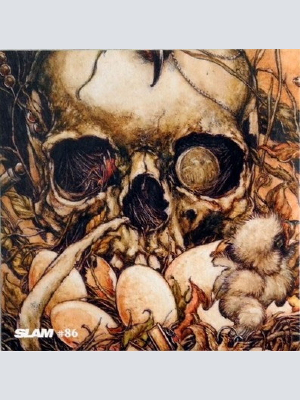 CD, Comp, Promo Various - CD Zur Ausgabe 86