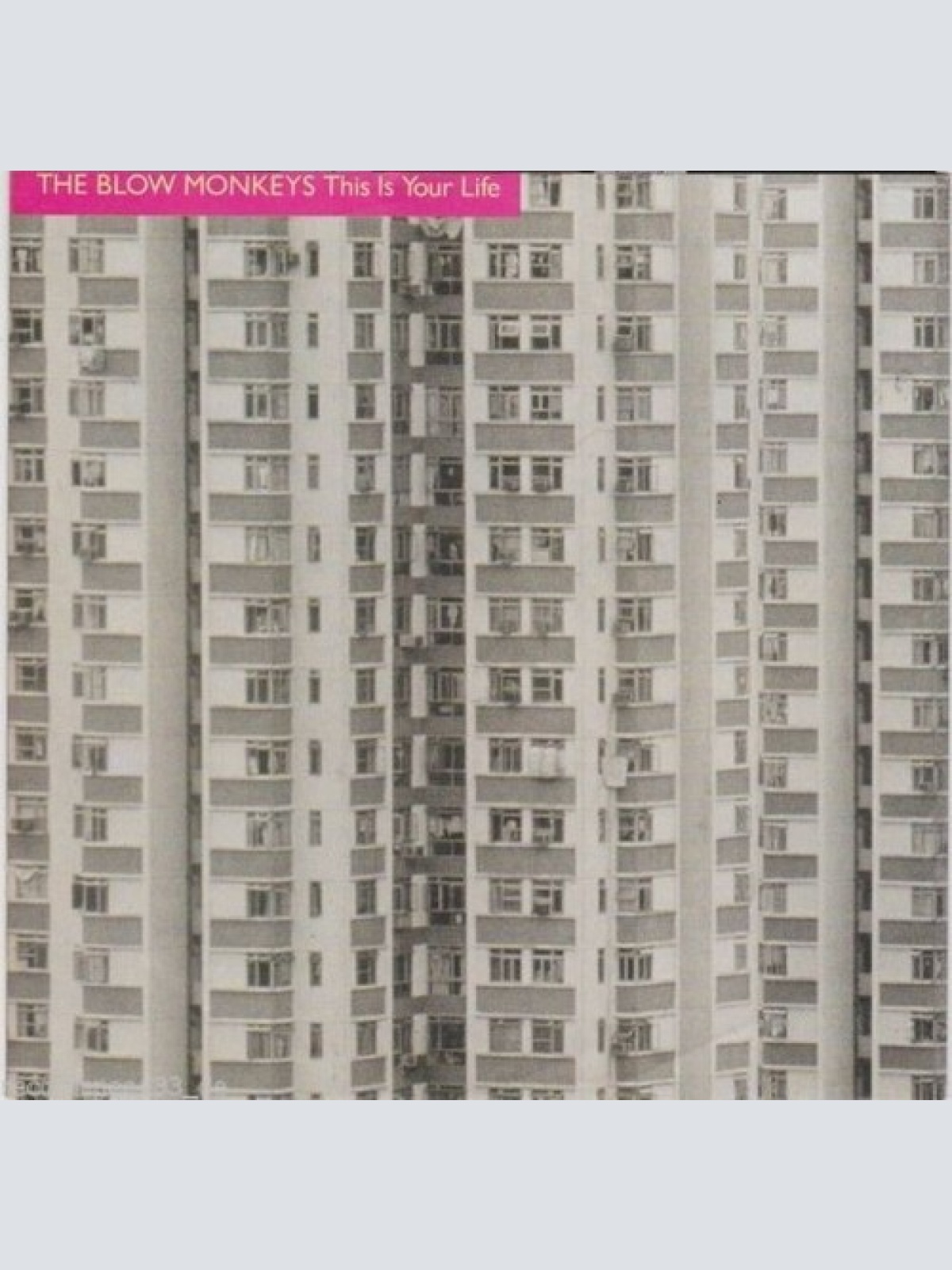 7", Single The Blow Monkeys - This Is Your Life