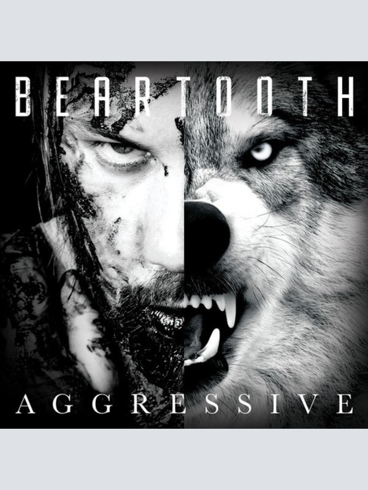 CD, Album, Dig Beartooth - Aggressive