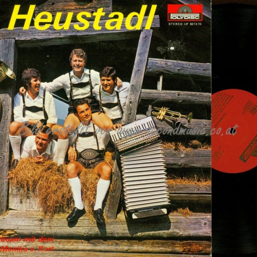 LP-DIE KAPRUNERBUAM IM HEUSTADL