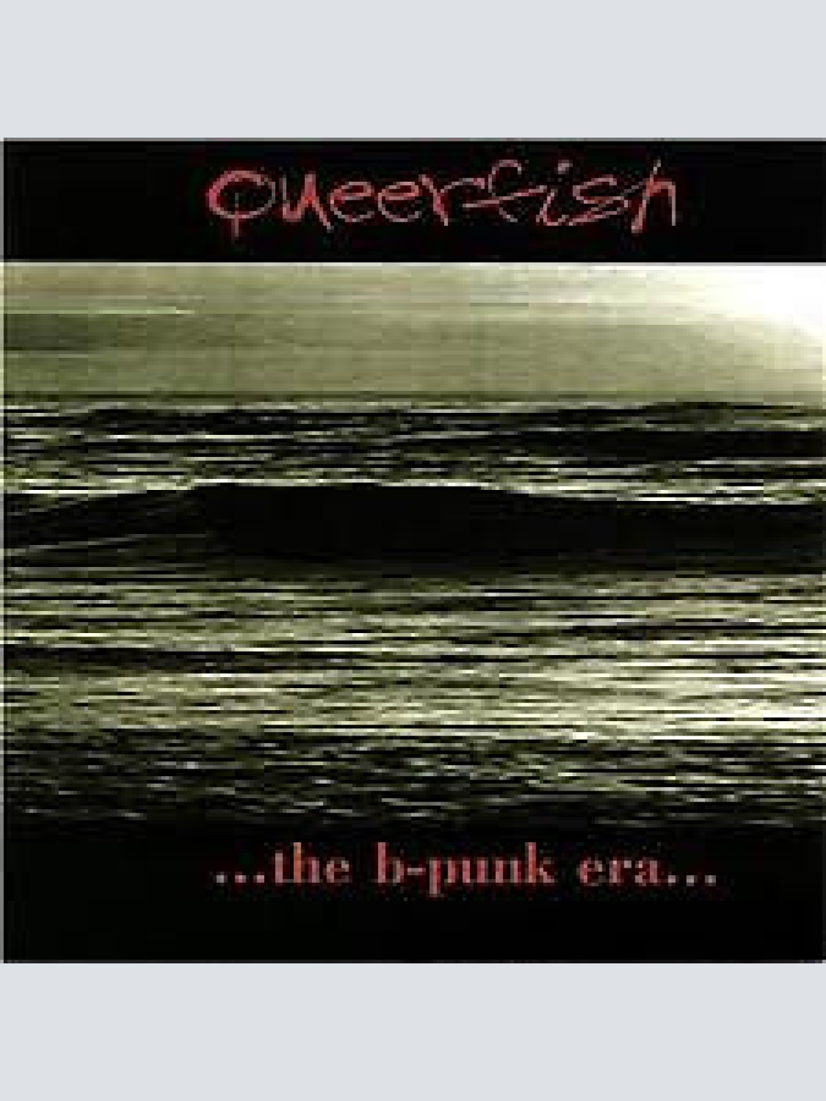 CD, Album, Dig Queerfish - ...The B-Punk Era...