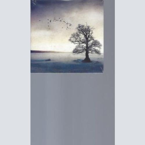 CD--BLUE MEADOWS THE RIVER