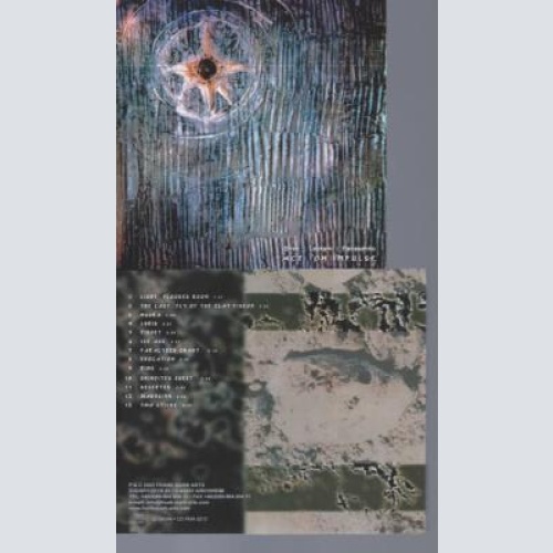 CD--BIRKE LEYKAM PANASENKO ACT ON IMPULSE