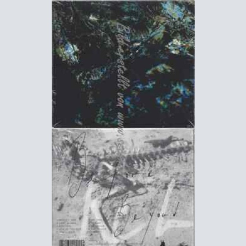 CD--Scratches | --Before Beyond