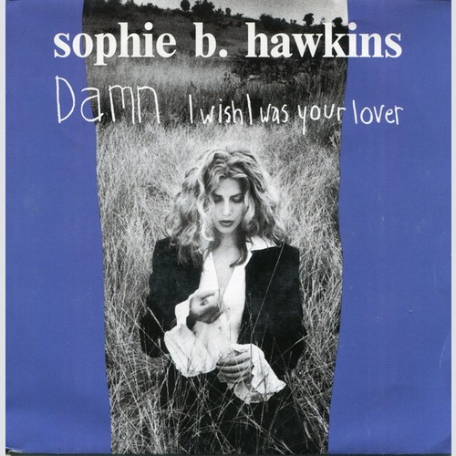 7", Single Sophie B. Hawkins - Damn I Wish I Was Your Lover