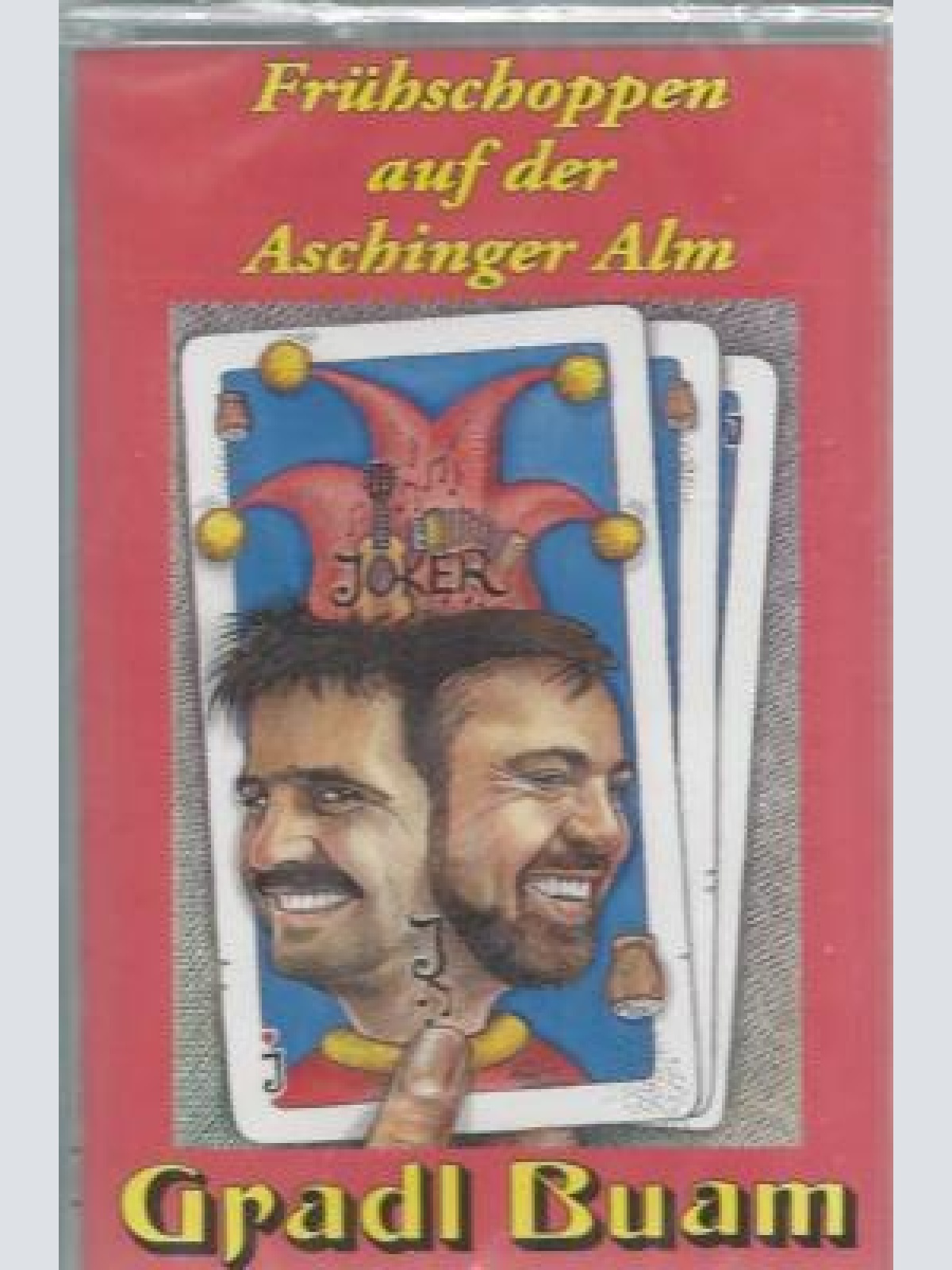 MC--Gradl Buam --Frühschoppen auf der Aschinger Alm