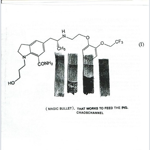 7", Ltd, W/Lbl Chaos Channel - (Magic Bullet). That Works To Feed The Pig.