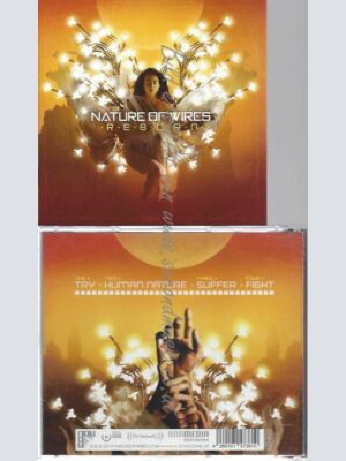 CD--NATURE OF WIRES | --REBORN (EP)