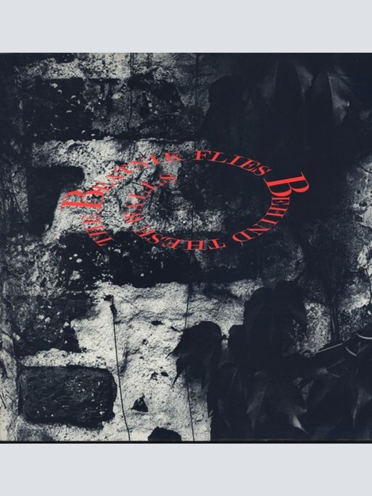 LP, Album The Beatnik Flies - Behind These Walls