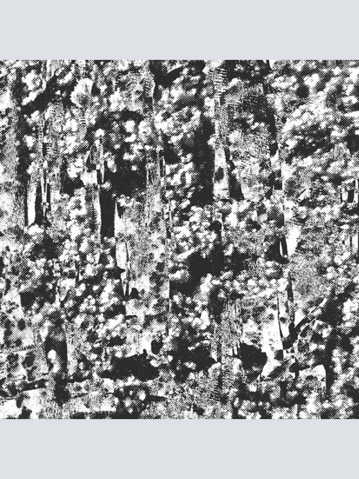 12", EP Perspex Flesh - Ordered Image