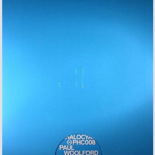 12" Paul Woolford - Pursuit