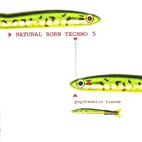 CD, Comp Various - Natural Born Techno 5:  Psychedelic Trance